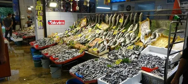 Balık fiyatları ne kadar oldu?