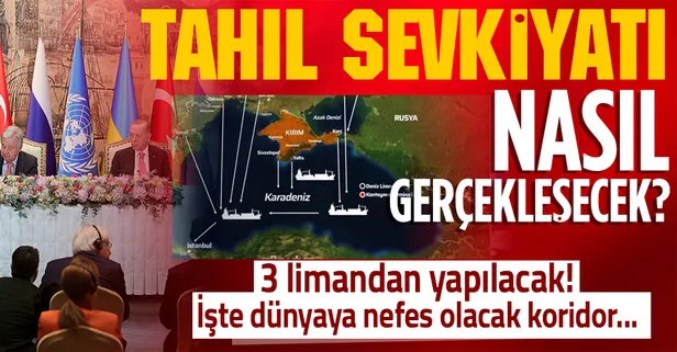 Son dakika: Tahıl sevkiyatı nasıl yapılacak? Hangi limanlar kullanılacak? İşte tarihi tahıl koridorunun detayları...