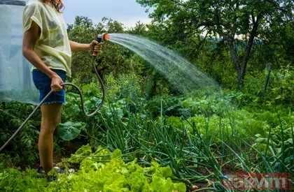 Rüyada bahçe sulamak ne anlama gelir, neye işarettir? Rüyada bahçe