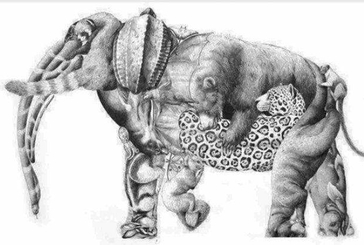 Resimdeki 15 hayvanı sadece üst düzey zekaya sahip olanlar çözüyor! Matruşka gibi çözülecek IQ testi: Katılanların %85’i işin içinden çıkamıyor!