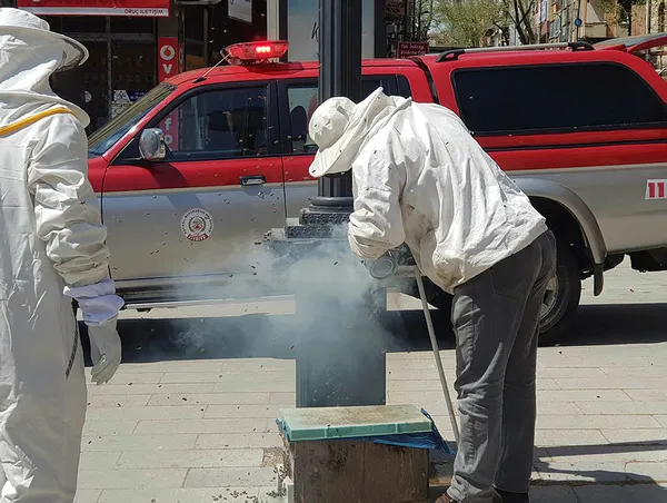 1619185655289.jpg İzmit'de şehrin göbeğinde endişe yaratan olay! Bir anda istila ettiler-4