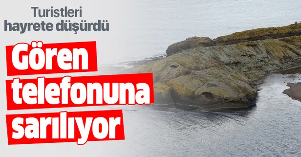 ‘Timsah Adası’ havadan görüntülendi! Görenleri hayrete düşürüyor