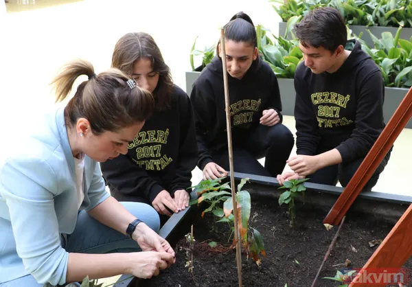 Ankara'da lise öğrencileri karasal iklimde muz avokado incir limon zeytin ve hurma yetiştiriyor - 3