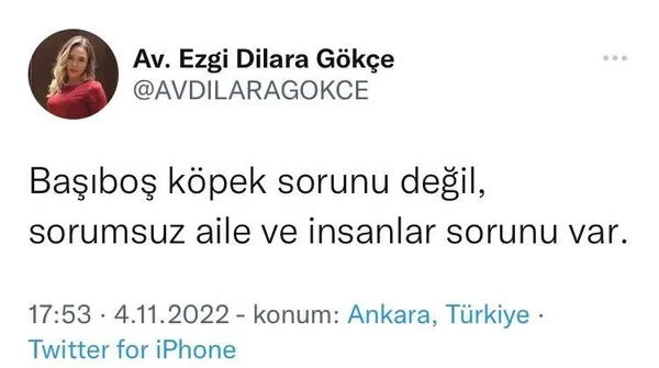 1667619154818.jpeg İYİ Partili Ezgi Dilara Gökçe'den skandal paylaşım! Kuduzla savaşan 10 yaşındaki çocuğun ailesini suçladı-2
