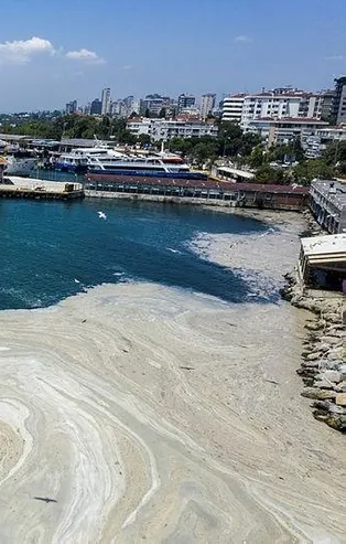 Çevre ve Şehircilik Bakanı Murat Kurum: 8 bin 405 metreküp müsilajı bertaraf ettik