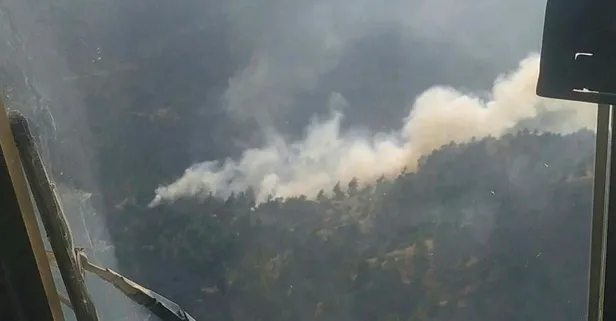 Orman yangınında 1 hektar alan zarar gördü