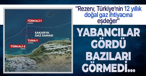 Wood Mackenzie: Karadeniz’deki yeni keşifle ulaşılan rezerv Türkiye’nin 12 yıllık doğal gaz ihtiyacına eşdeğer