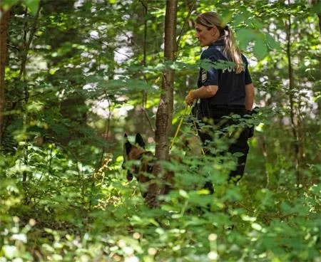 Alman polisi kurt maskeli sapığın peşinde!-3