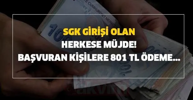 Başvuran kişilere 801 TL ödeme yapılacak! İşte detaylar