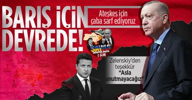 Başkan Erdoğan Ukrayna Devlet Başkanı Zelenskiy ile görüştü: Ateşkes için çaba gösteriyoruz