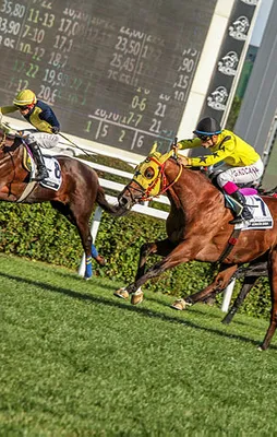 Gazi Koşusu ertelendi