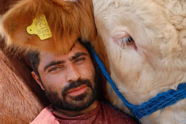 kurban-bayrami-icin-eruzurumdan-istanbula-getirdigi-bogasiyla-uyuyor-1626336453427.jpg Kurban Bayramı için Erzurum'dan İstanbul'a getirdiği boğasıyla uyuyor-5