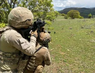 İnlerine giriliyor: 551 personel 37 tim!