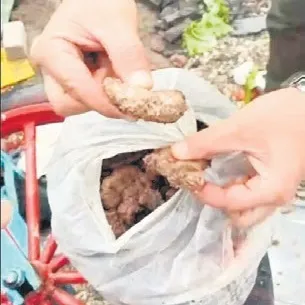 Bozuk köfte skandalı