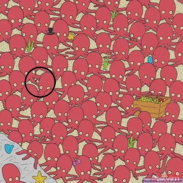 Balığı Bulabildiniz Mi? Eğer Balığı 7 Saniye İçinde Bulduysanız, Tebrikler! Bu, Keskin Bir Görüş Ve Dikkat Yeteneğine Sahip Olduğunuzun Bir Göstergesidir...