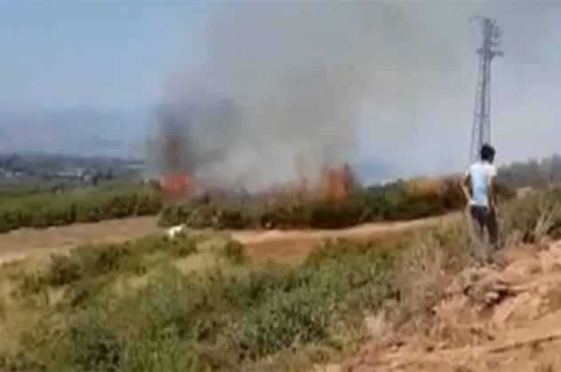 İzmir'de makilik yangını