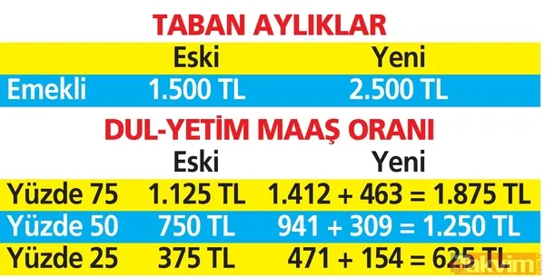 Asgari ücret, emekli maaşı, memur ve daha fazlası! Kim, kaç lira alacak? İşte kalem kalem yeni maaşlar - 27