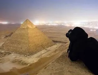 Turistlerin gizlice çektiği muhteşem fotoğraflar