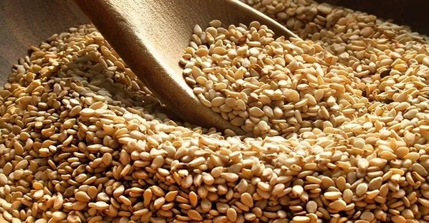 Prostata susam etkisi! Susamın faydaları nelerdir?