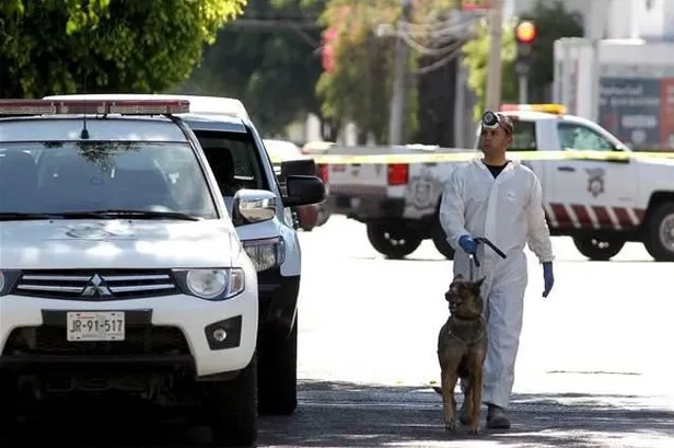 Meksika'da gizli mezarlarda 45 ceset ortaya çıkarıldı-1