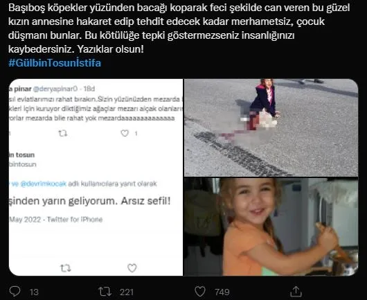 FOX'un tetikçisi Gülbin Tosun'dan acılı anneye skandal hakaret: Arsız sefil! Anne harekete geçti-5