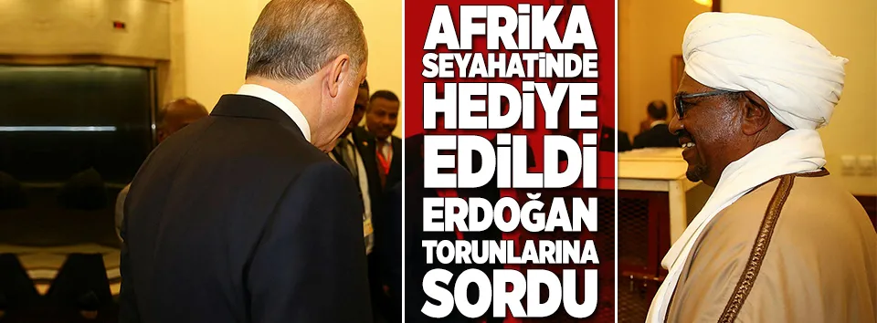 Erdoğan'a hediye edilen aslanlar Gaziantep'e