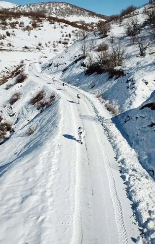 İçişleri Bakanlığı duyurdu! Hakkari'de 710 personelle dev operasyon