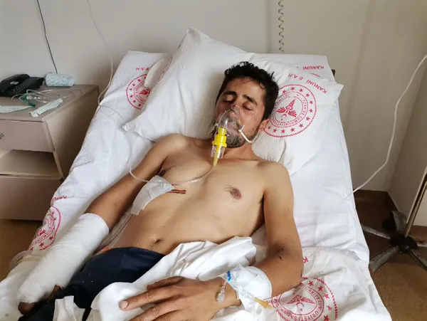 ayi-saldirisina-ugradi-coban-kopekleri-olumden-kurtardi-1605867027748.jpg Ayı saldırısına uğradı çoban köpekleri ölümden kurtardı-6