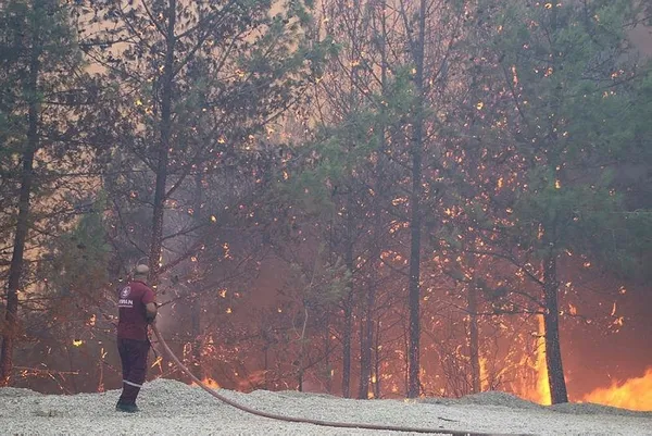 Son dakika: Adana Kozan'da orman yangını! 6 köyde 800 hane boşaltıldı-1