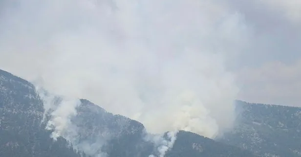 Antalya’da ormanlık alanda yangın