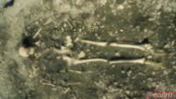 Anne ve çocuklar sanılıyordu: 5.500 yıllık mezardan bambaşka hikaye çıktı - 7