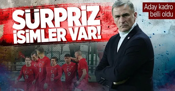 A Milli Takım’ın aday kadrosu açıklandı