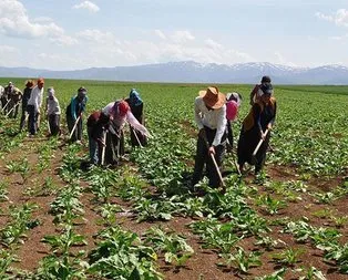 Mevsimlik seferberliği!