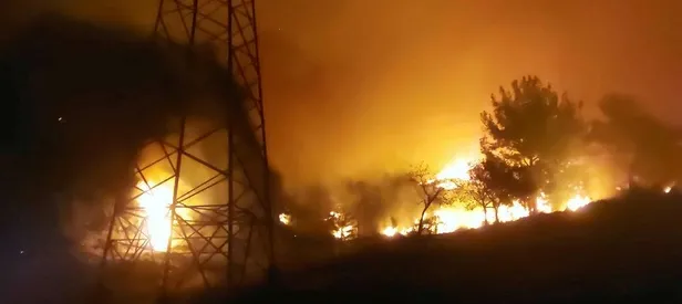 Hatay’da orman yangını!