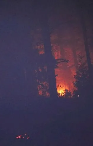 SON DAKİKA: Kastamonu'da orman yangını