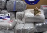 İzmir'de uyuşturucu operasyonu! 600 kilogram skunk ele geçirildi