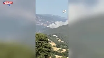 Bursa Balıkesir sınırında orman yangını!