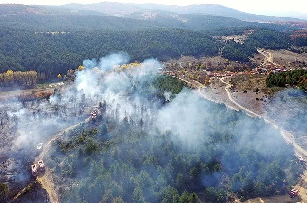 Son dakika: Kütahya Tavşanlı'da orman yangını
