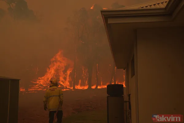 SON DAKİKA: Avustralya'da yangın faciası! 71 ev kül oldu - 7