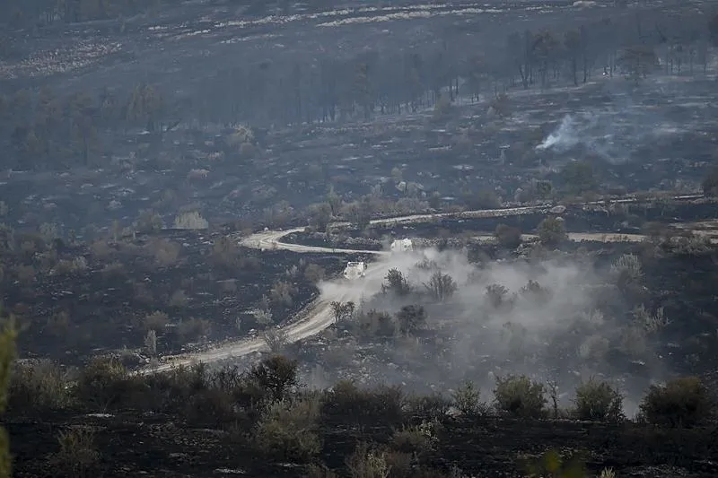Ankara'da başladı Bolu'ya sıçradı! Gerede'deki orman yangını kontrol altına alındı-8