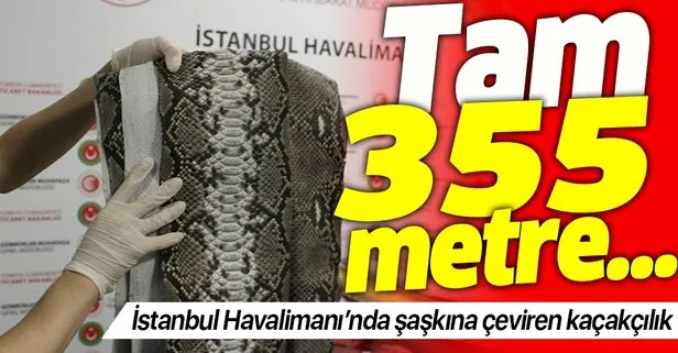 Hepsi İstanbul Havalimanı’nda yakalandı! Tam 355 metrelik yılan...