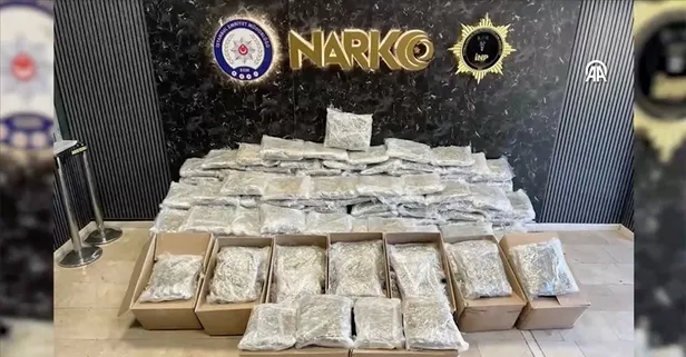 İstanbul Ambarlı limanında 175 kilodan fazla kokain ele geçirildi