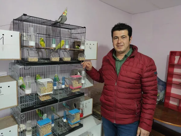 sultan-papagani-bitik-her-sabah-evdekileri-olurum-turkiyem-parcasiyla-uyandiriyor-1618294852235.jpg Sultan papağanı Bitik her sabah evdekileri Ölürüm Türkiyem parçasıyla uyandırıyor-3