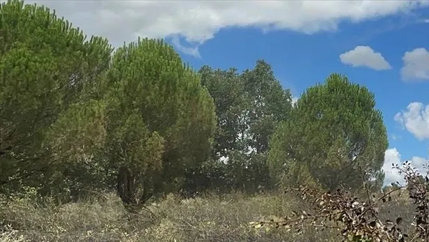 ankarada-flas-karar-valilik-acikladi-girisler-yasaklandi-1688381514181.jpeg Ankara'da flaş karar! Valilik açıkladı: Girişler yasaklandı-2