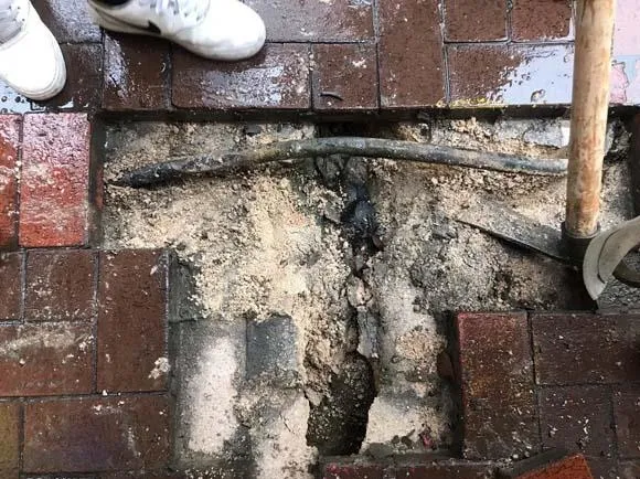 Farenin yaptıkları halkı ayaklandırdı! Kazdıklarında ortaya çıktı...-1