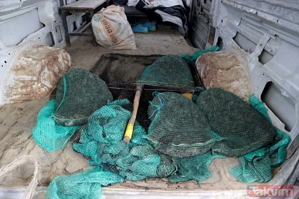 Günlük 900 lira kazanıyorlar! Türkiye'nin birçok ilinden toplanan kurbağalar Avrupa'ya ihraç ediliyor - 31