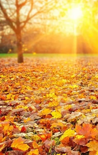 Rüyada ceset görmek ne anlama gelir?