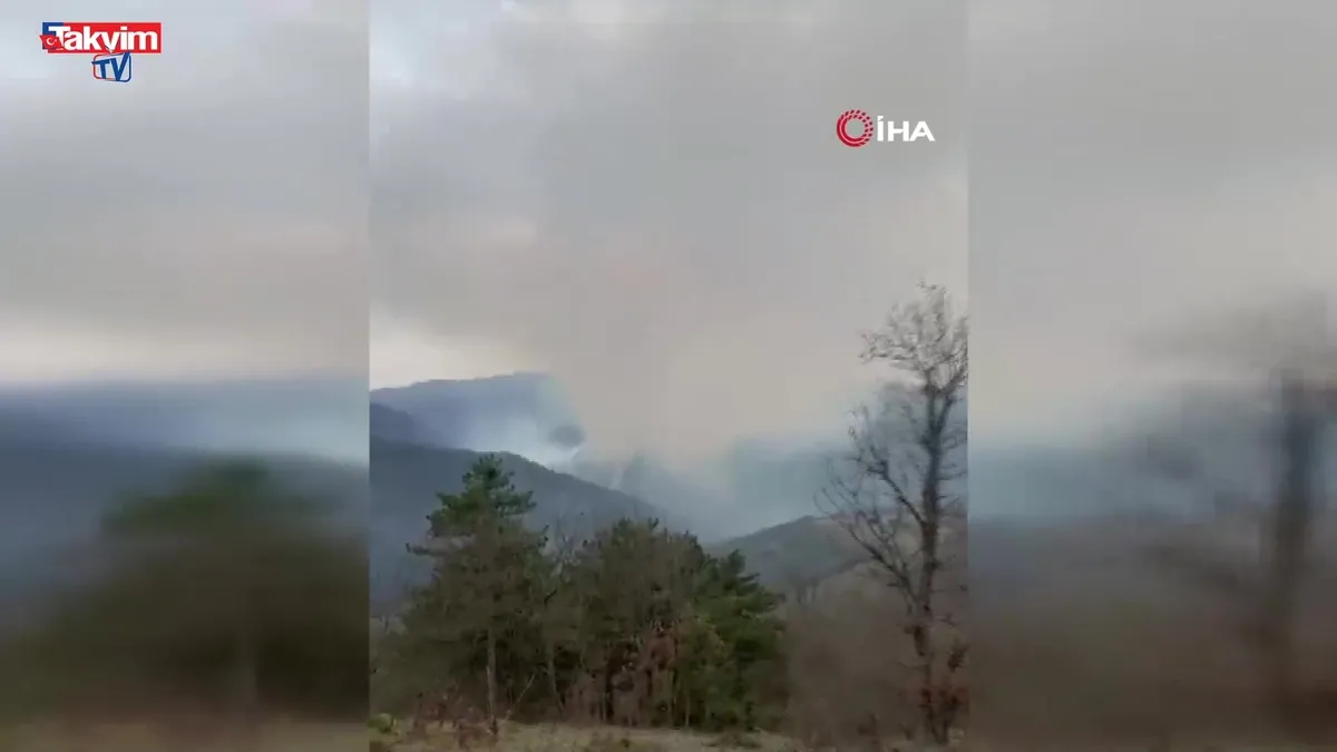 Balıkesir'de orman yangını