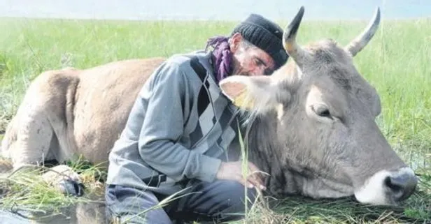 Hakkari Yüksekova’da bataklığa saplanan ineğine sarılarak yardım istedi