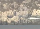 A Haber Meis Adası'ndaki Yunan komandoları görüntüledi!